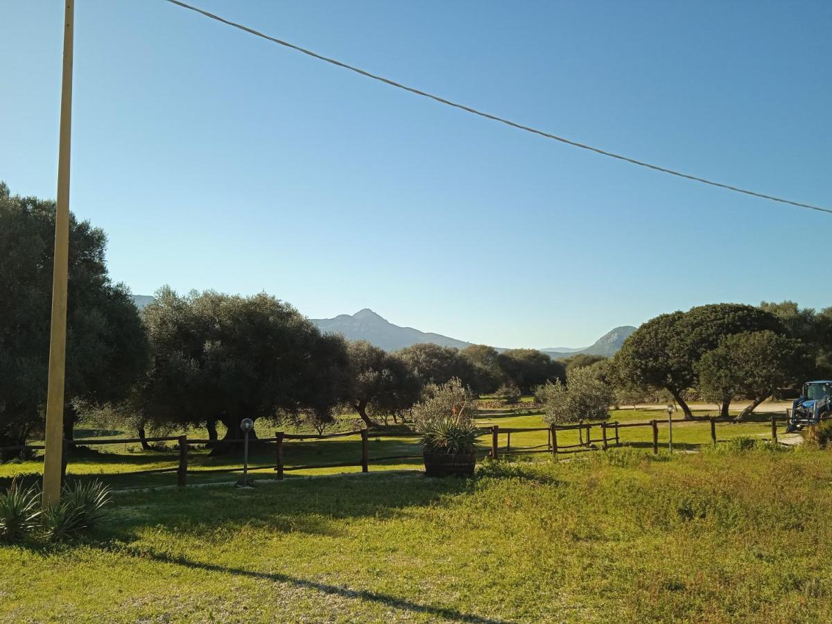 Vistamare Villa Orosei Luaran gambar
