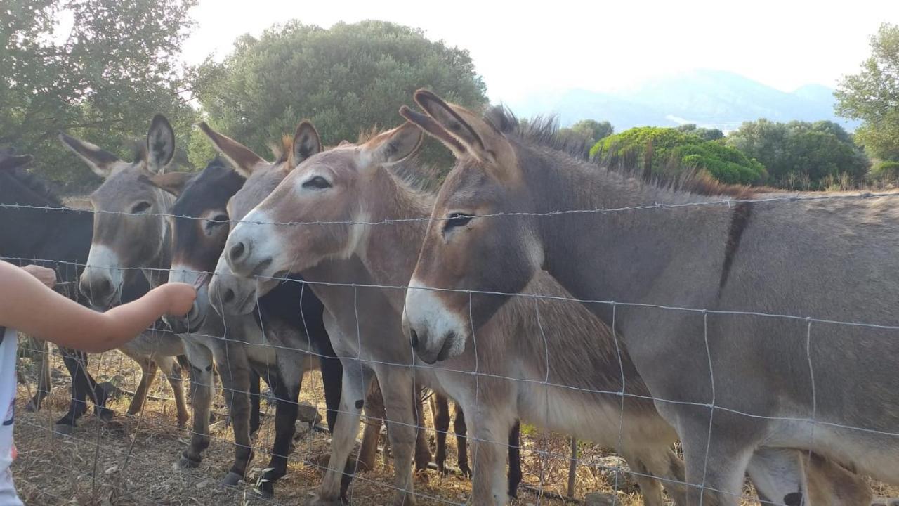 Vistamare Villa Orosei Luaran gambar
